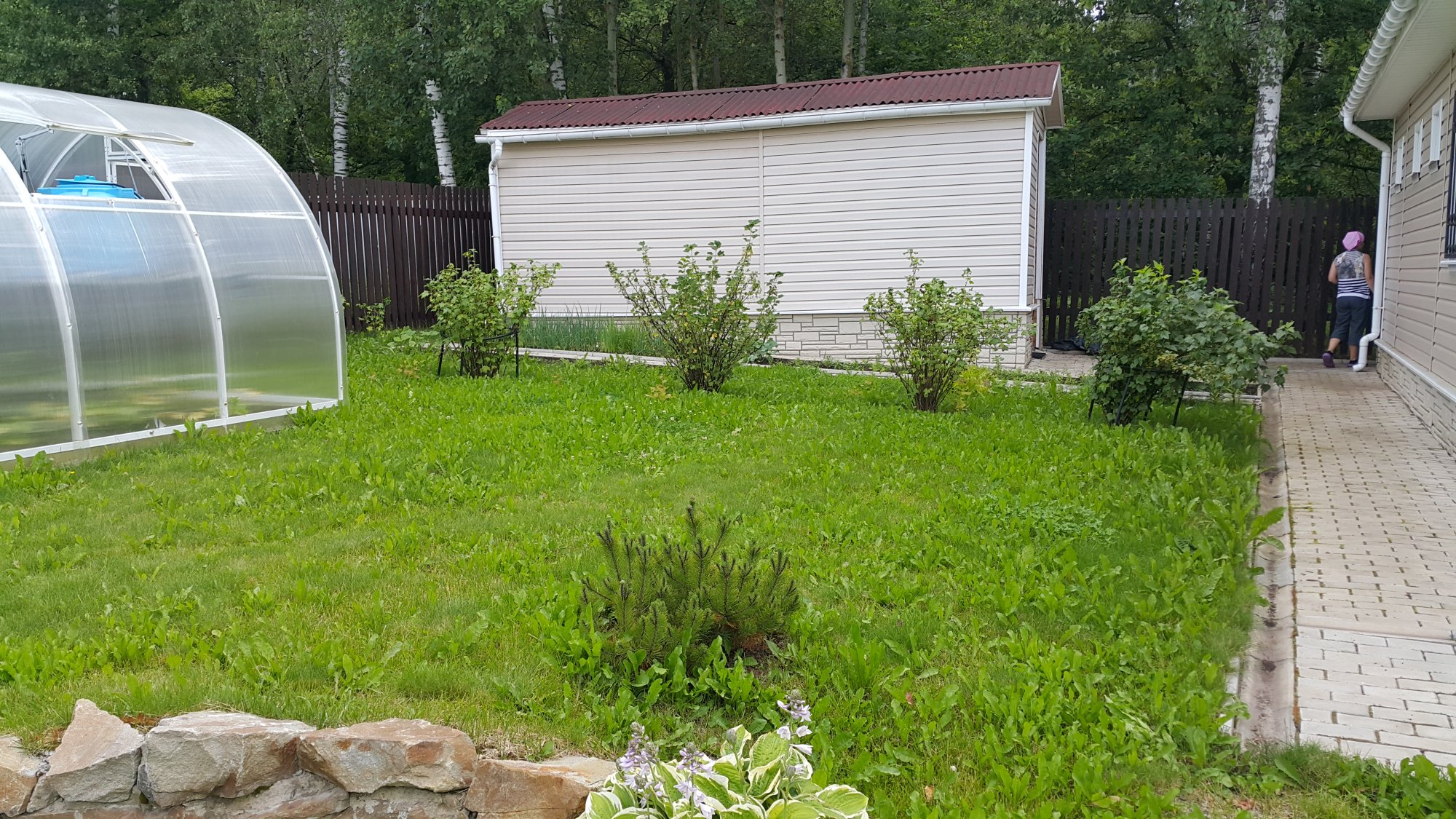 Газон для дачи и сада рулонный -  газонную траву в рулонах по .