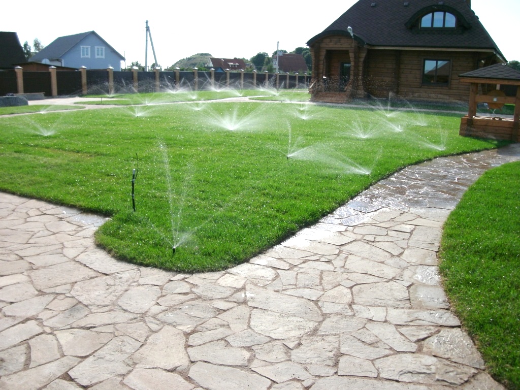 Как часто поливать рулонный газон