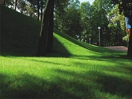 Парковый рулонный газон (для парка)
